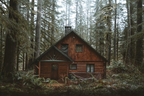 5 Things to Remember When Booking a Log Cabin For the Family