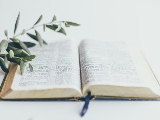How to Lead a Bible Study Without Stress