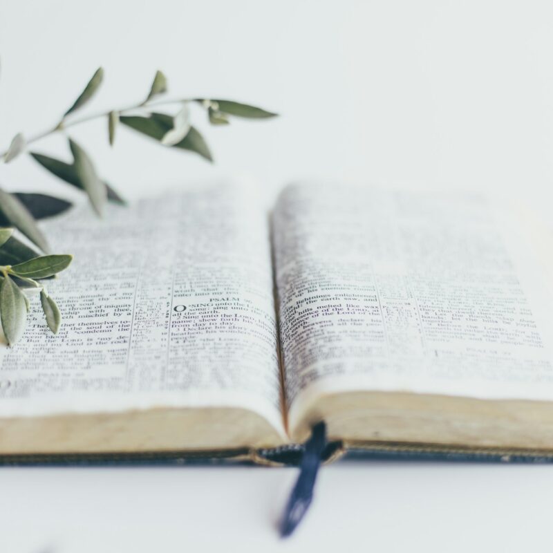 How to Lead a Bible Study Without Stress